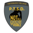 PTSD Veterans Village